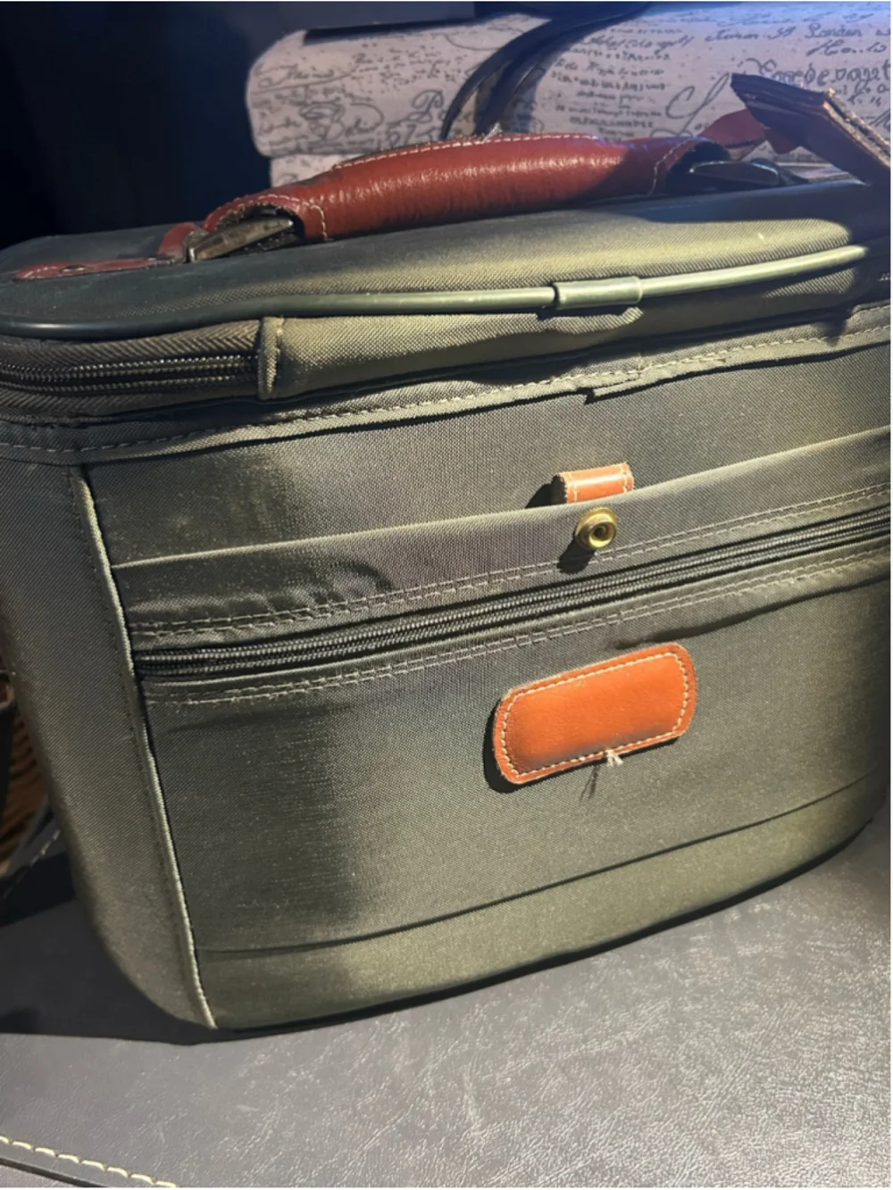Lark Travel Case One Size Olive and Brown